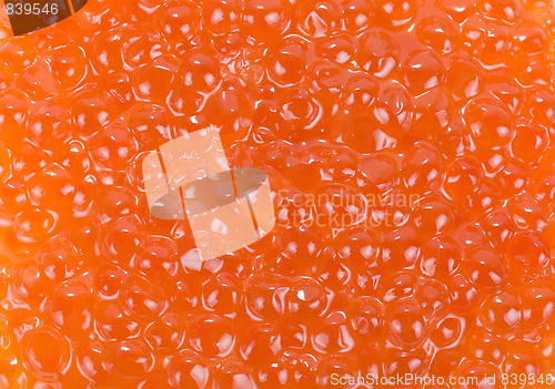 Image of red caviar background