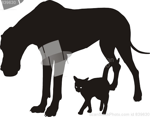 Image of Dog and cat, friends