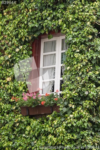 Image of window