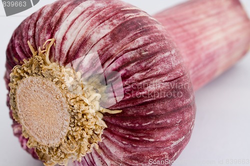 Image of red garlic
