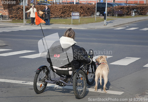 Image of Contemporary bike with dog