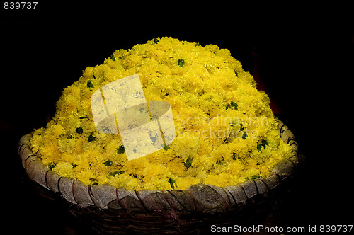 Image of basket full of yellow flowers at a local flower market