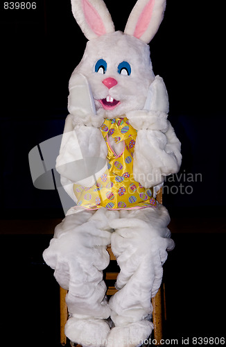 Image of Rabbit sitting in a chair for Easter