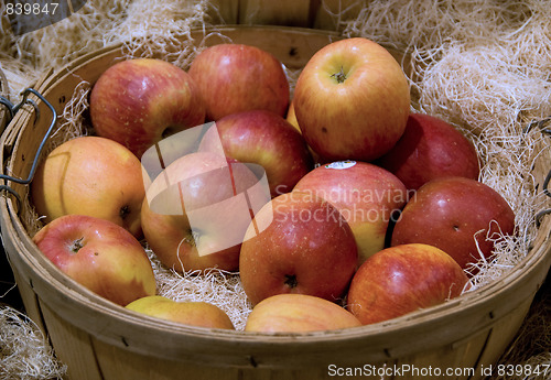 Image of An apple aday