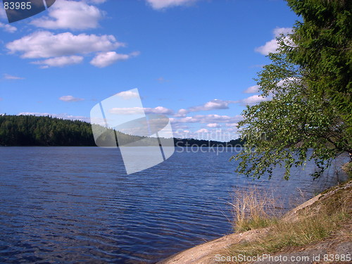 Image of Wood lake