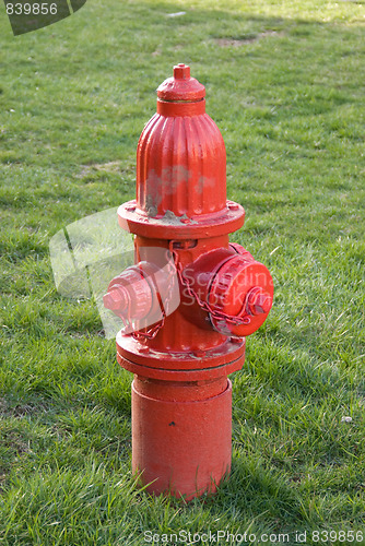 Image of Fire Hydrant