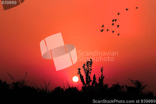 Image of Sunset