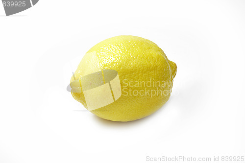 Image of The yellow lemon