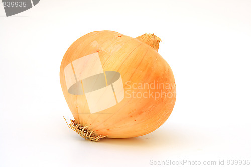 Image of Tasty kitchen. Fresh vegetables isolated on white
