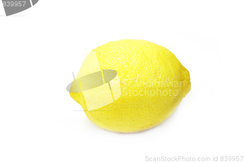 Image of The yellow lemon