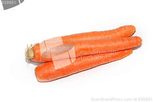 Image of The red carrot