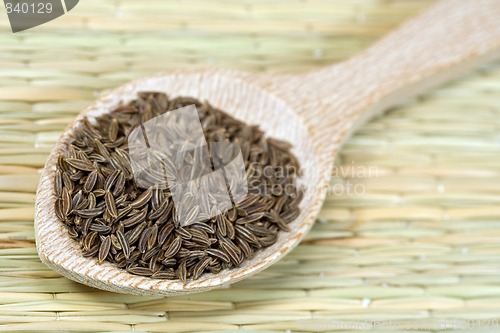 Image of caraway seeds