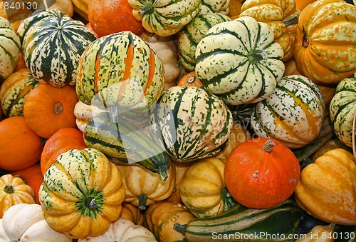 Image of pumpkin