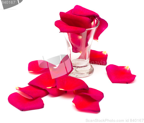 Image of Shot glass and petals