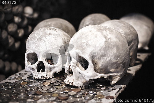 Image of Old skulls with coins