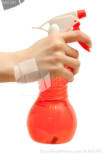 Image of Sprayer in hand