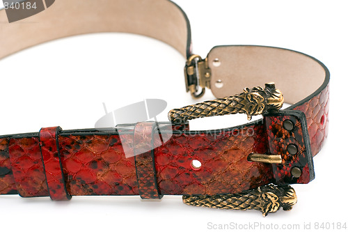 Image of Red fashion belt