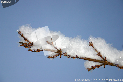 Image of winter