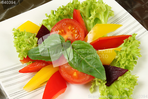 Image of Vegetarian salad