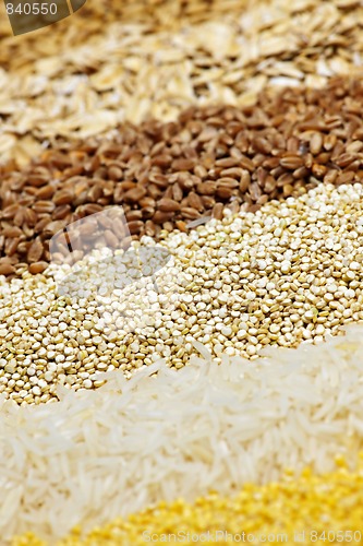 Image of Various grains close up