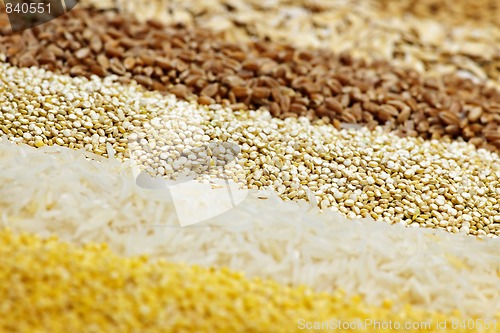 Image of Various grains close up