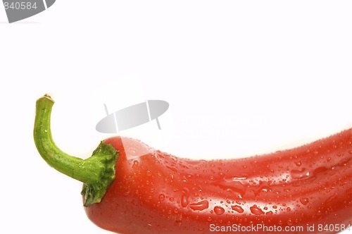 Image of chilli up close