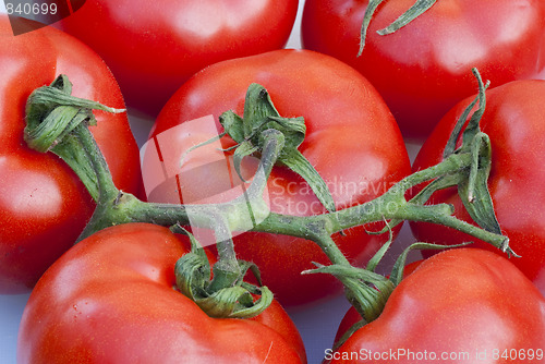 Image of Fresh Tomatoes, Tuscany