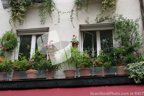 Image of Paris Windows