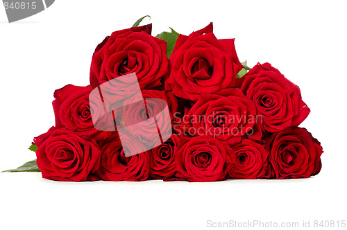 Image of Red roses