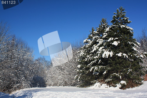 Image of Winter scene.