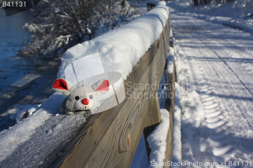 Image of Mouse on a fence.