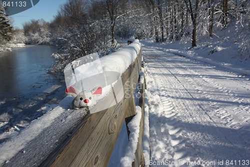 Image of Mouse on a fence.