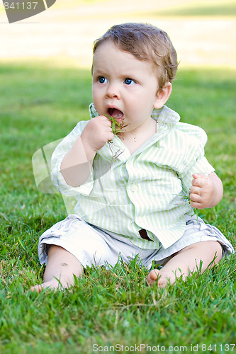 Image of Baby Eating Grass