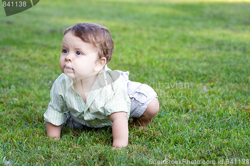 Image of Baby Boy Crawling