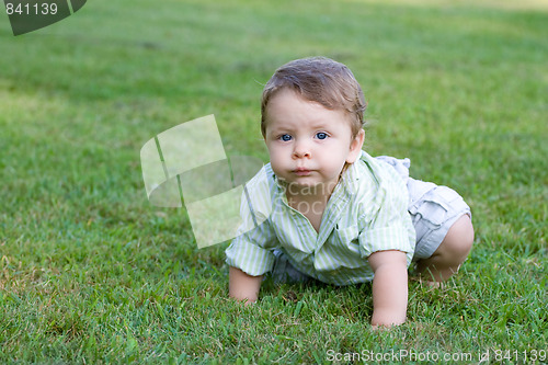 Image of Cute Baby Crawling