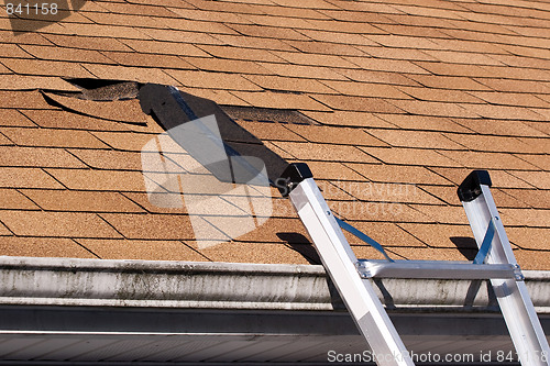 Image of Damaged Roof Shingles Repair