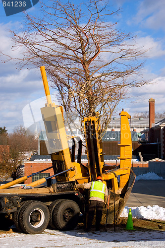 Image of Tree Transplanter