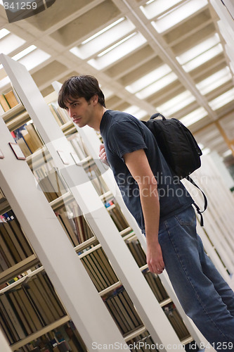 Image of Searching the Library