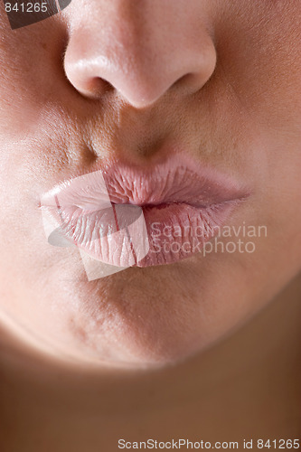 Image of Puckered Up Lips