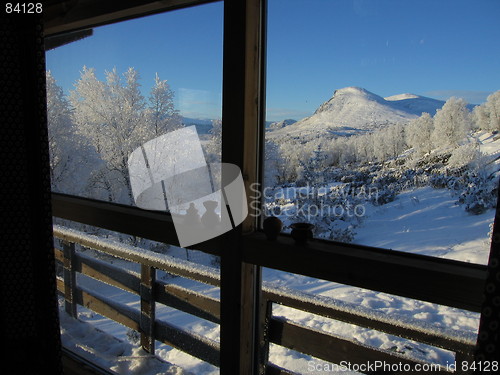 Image of Skogshorn winter