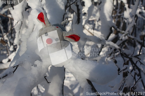 Image of A winter mouse.
