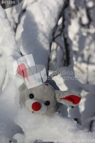 Image of A winter mouse.