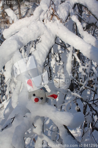 Image of A winter mouse.