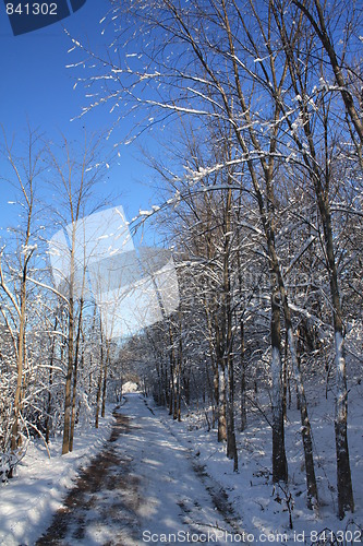 Image of Scenes of winter.