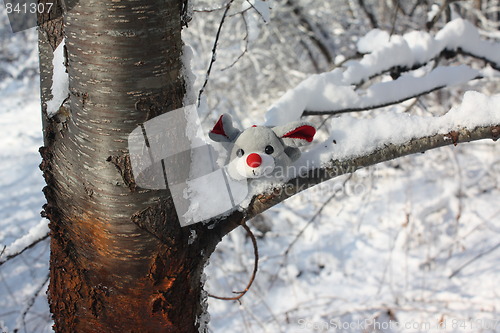 Image of A winter mouse.