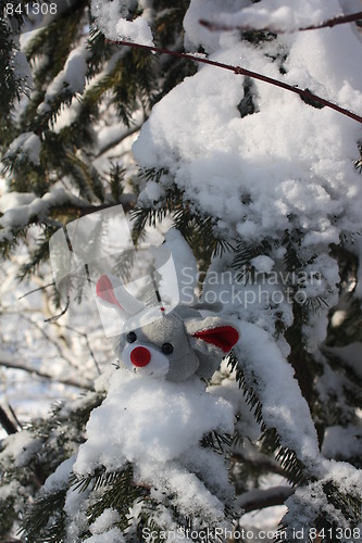 Image of A winter mouse.