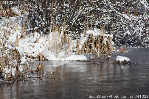 Image of Season of winter.