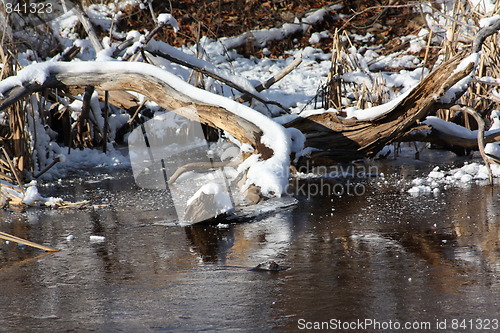 Image of Season of winter.