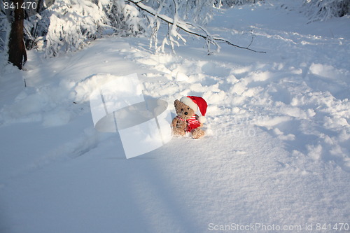 Image of Bear making a snowman.