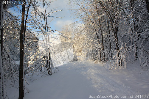 Image of Season of winter.